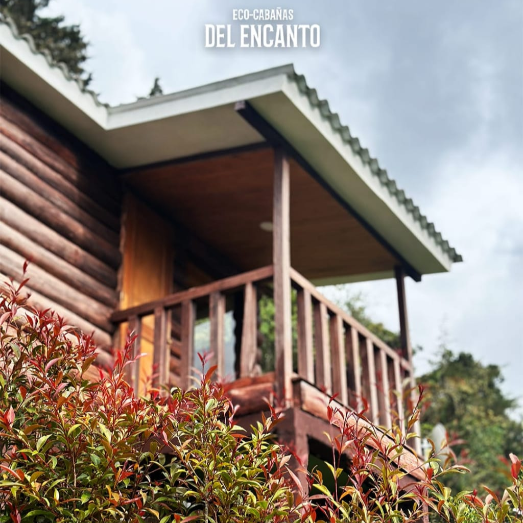 Diseño sin título (22)